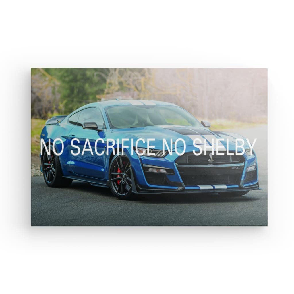 Ford Shelby GT500 Canvas