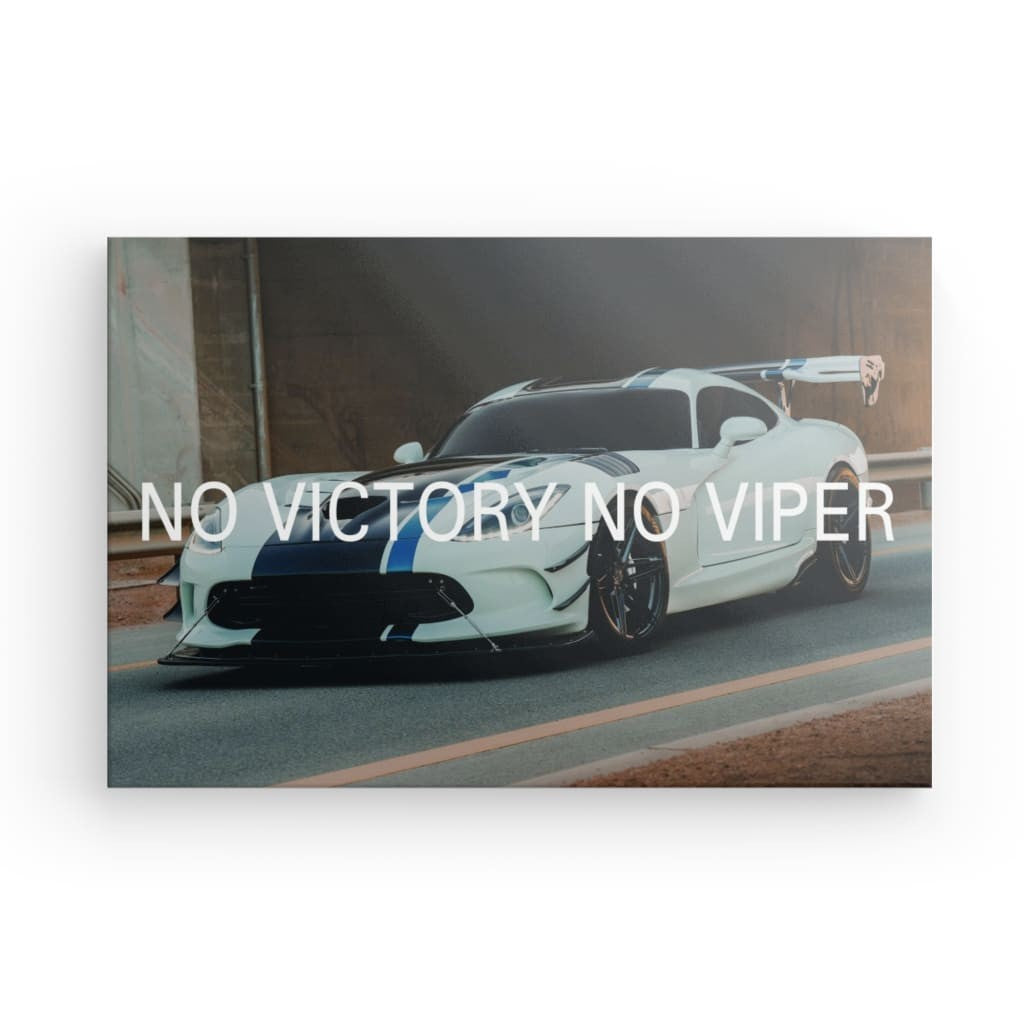 DOdge Viper ACR Canvas